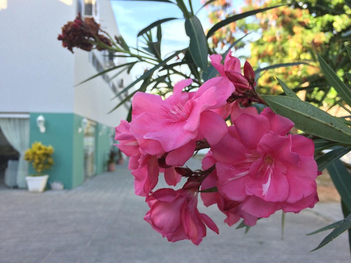 Scenarium Hotel Jaboatão dos Guararapes Esterno foto